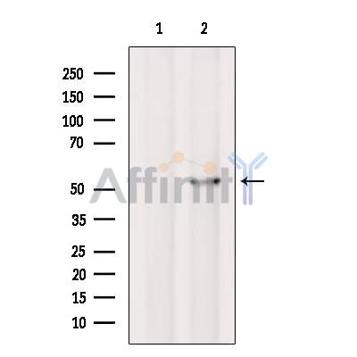 Валидация Affinity DF9231 - 21645