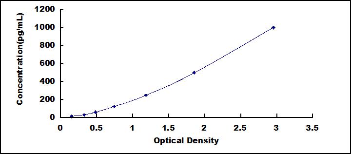 61240