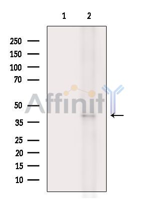 Валидация Affinity DF15791 - 12275