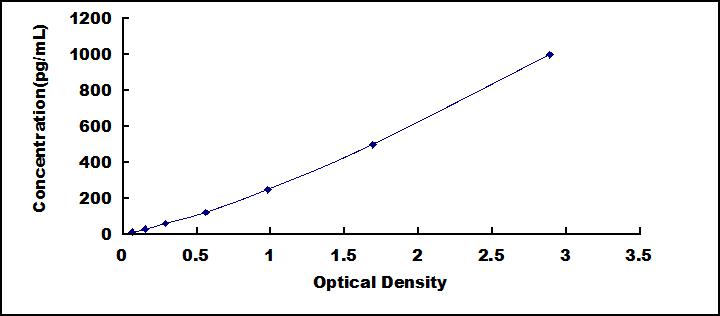 62206