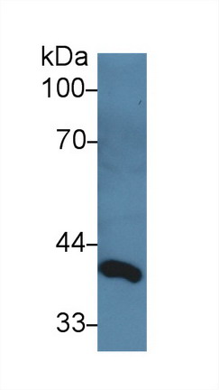 9875