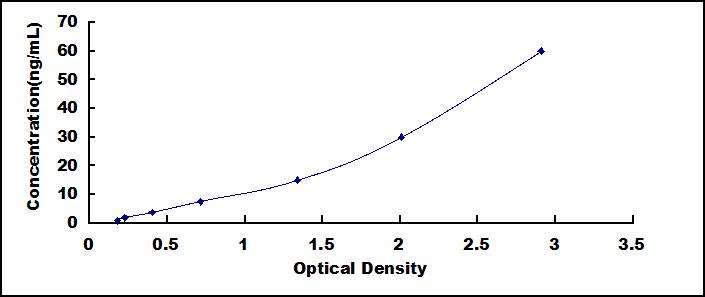 34767