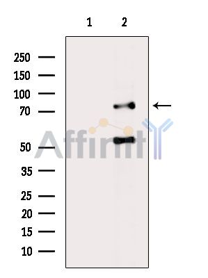 Валидация Affinity DF4289 - 15700