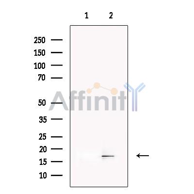 Валидация Affinity DF13388 - 8649