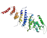 Nucleoporin 85kDa (NUP85)