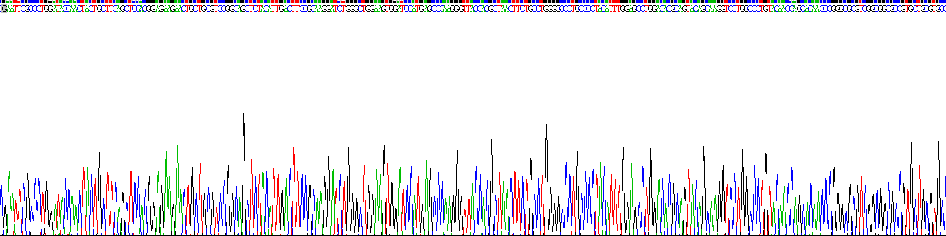 28373