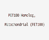 PET100 Homolog, Mitochondrial (PET100)