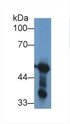 13419