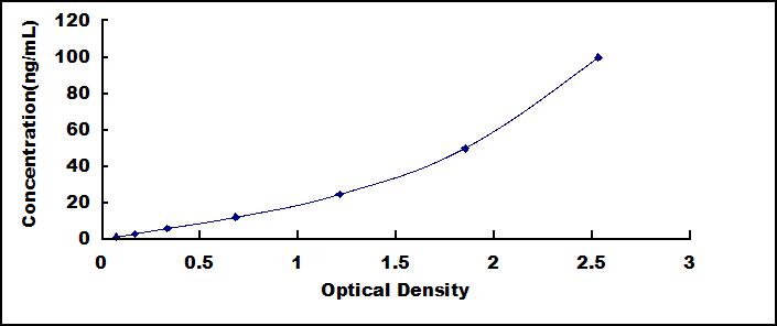 33809