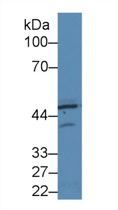 10397