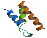 Transcription Elongation Factor A N-Terminal And Central Domain Containing Protein 2 (TCEANC2)