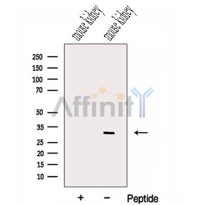 Валидация Affinity DF13061 - 7917