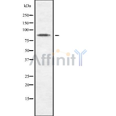 Валидация Affinity DF8256 - 20092