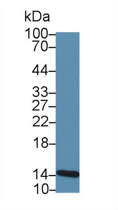 12415