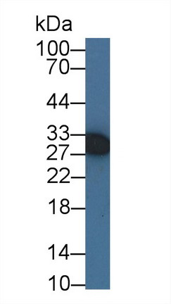 8340