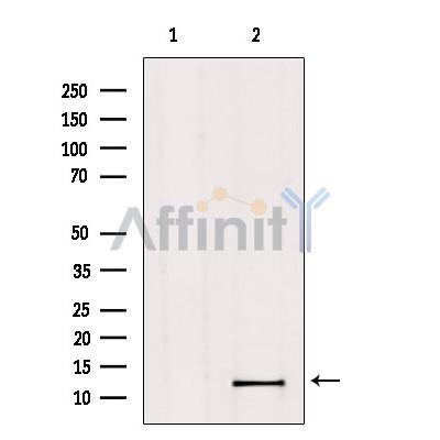 Валидация Affinity DF9612 - 22324