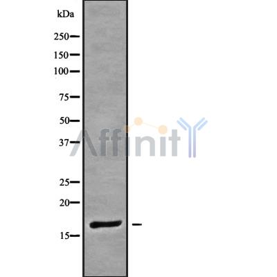Валидация Affinity DF9466 - 22053