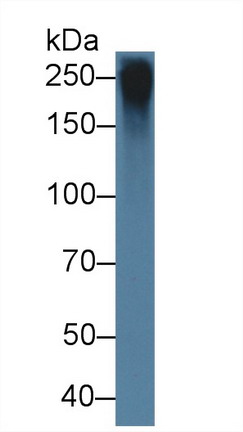 8477