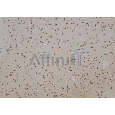 Валидация Affinity DF3629 - 14603