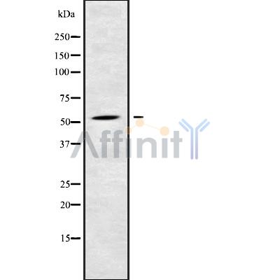 Валидация Affinity DF10127 - 5641