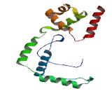 SWI/SNF Related, Matrix Associated, Actin Dependent Regulator Of Chromatin, Subfamily A, Member 1 (SMARCA1)
