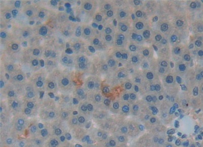 6055