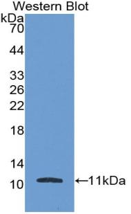 41196