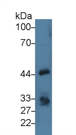 12478