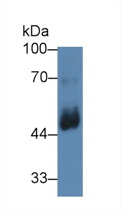12584