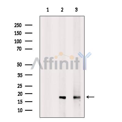 Валидация Affinity DF13353 - 8563