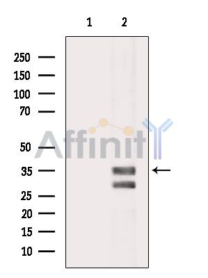 Валидация Affinity DF13758 - 9414