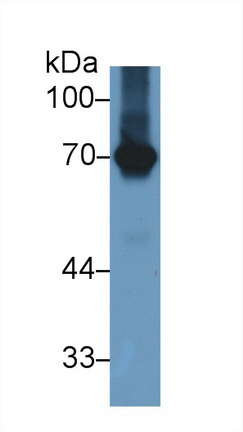 13738