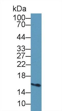 10353