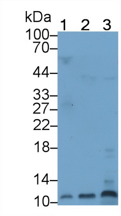 21178