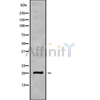 Валидация Affinity DF9306 - 21768