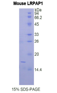 48192