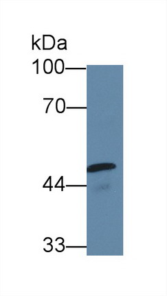 8560