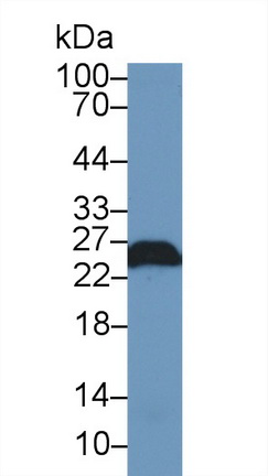 13728