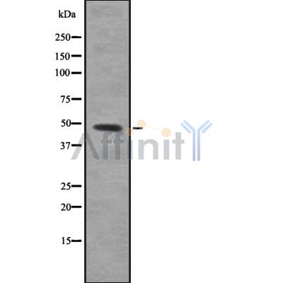 Валидация Affinity DF8179 - 20023