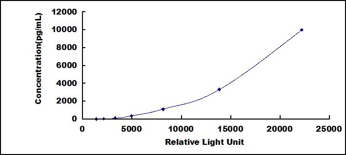 46381