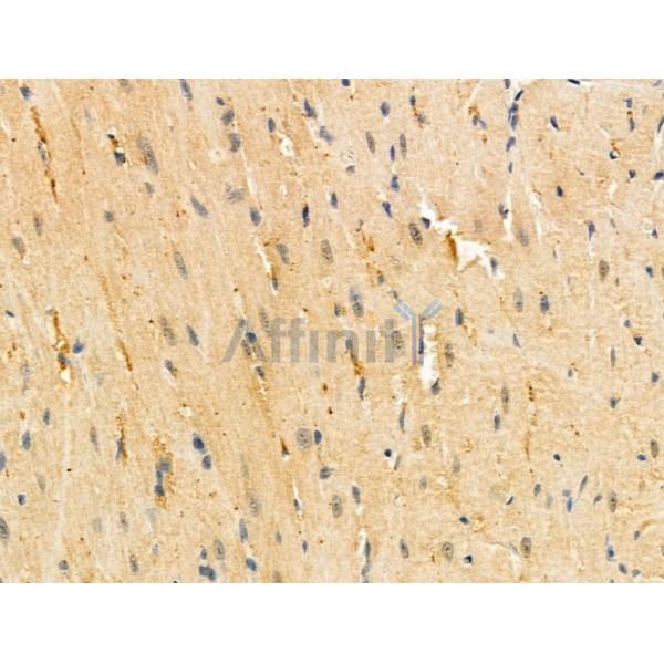 Валидация Affinity AF5492 - 3178