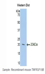 47933
