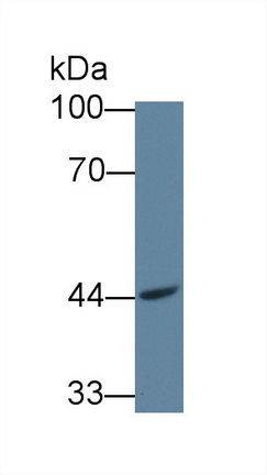 12615