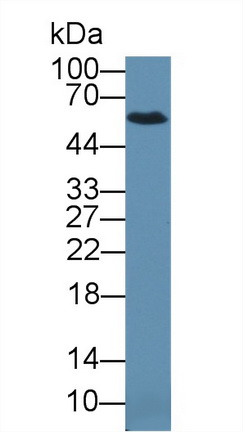 17660