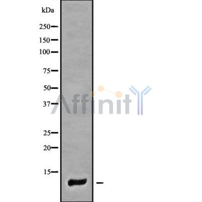 Валидация Affinity DF10098 - 5593