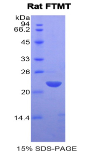 48156