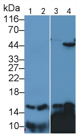 10933
