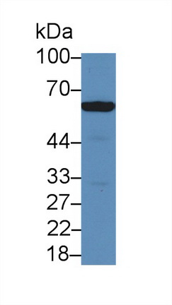 13837