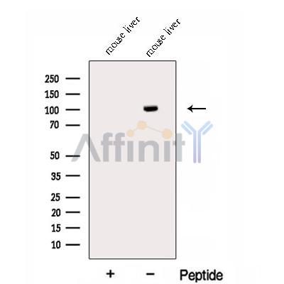 Валидация Affinity DF12969 - 7739