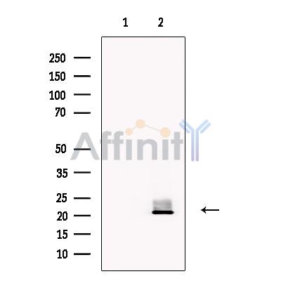 Валидация Affinity DF13575 - 9040